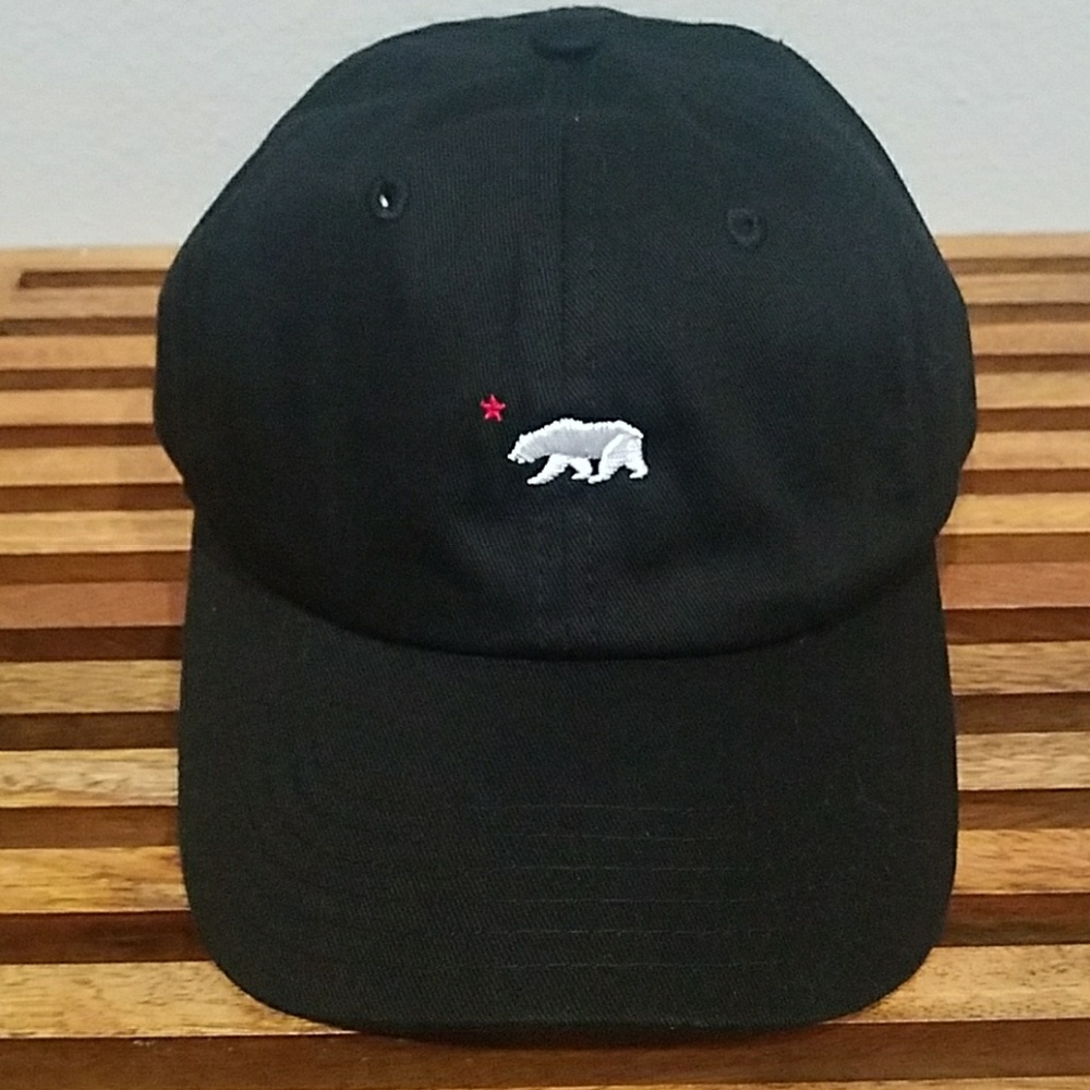 Strap back Hat NWOT
